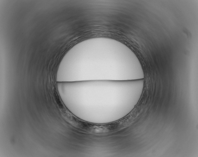 X0000111910275200908101207