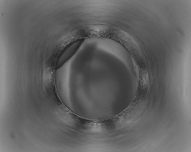 X0000111910276200908101207