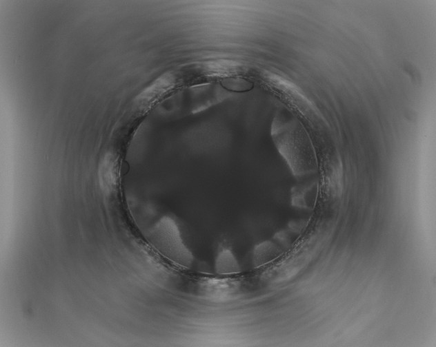 X0000111910277200908101207