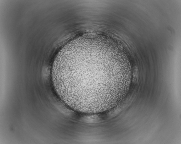 X0000111910278200908101207