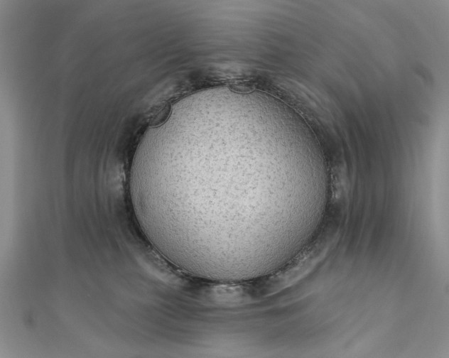 X0000111910279200908101207