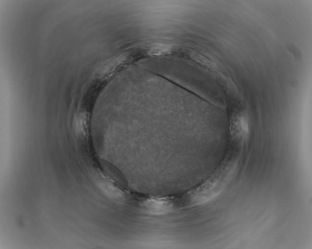 X0000111910280200908101207