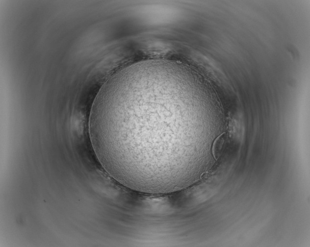 X0000111910283200908101207