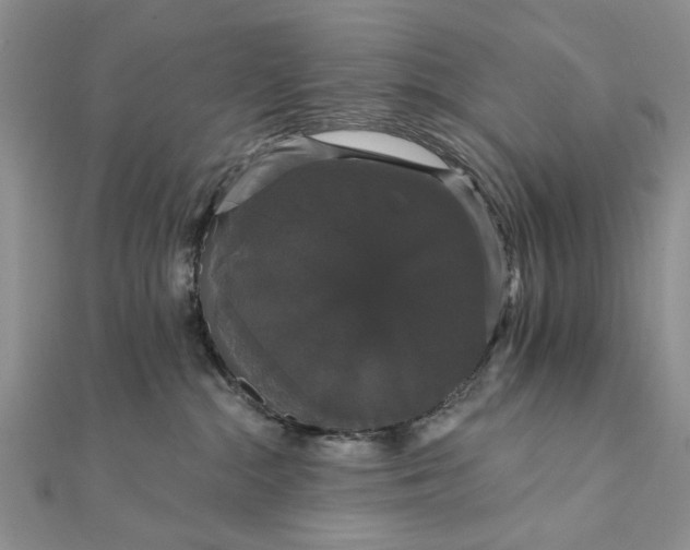 X0000111910284200908101207