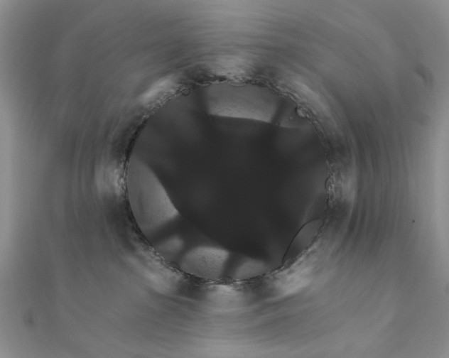 X0000111910285200908101207