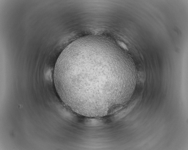 X0000111910286200908101207