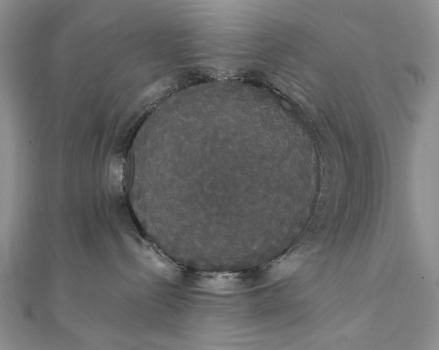 X0000111910288200908101207