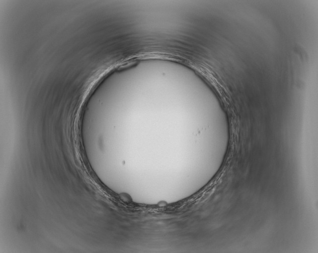 X0000111910289200908101207