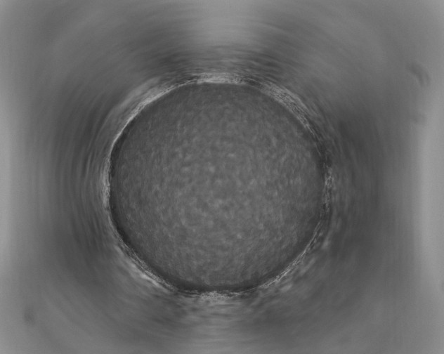 X0000111910290200908101206