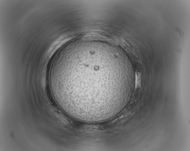 X0000111910291200908101206