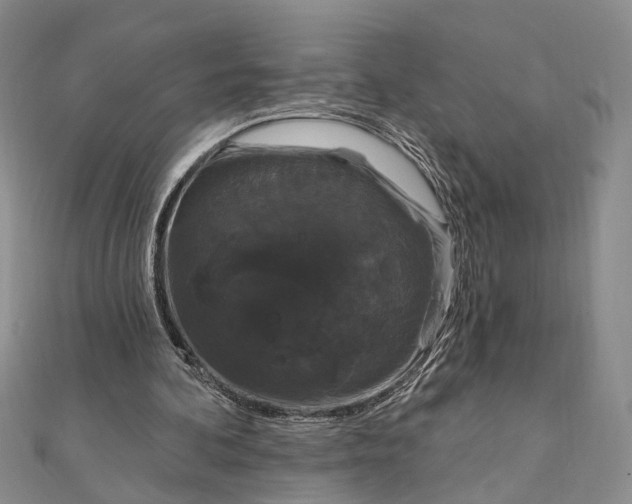 X0000111910292200908101206