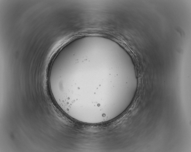 X0000111910293200908101206