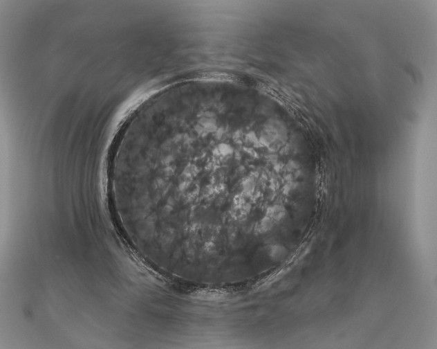 X0000111910294200908101206