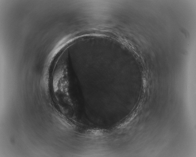 X0000111910295200908101206