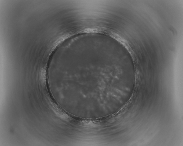 X0000111910297200908101206