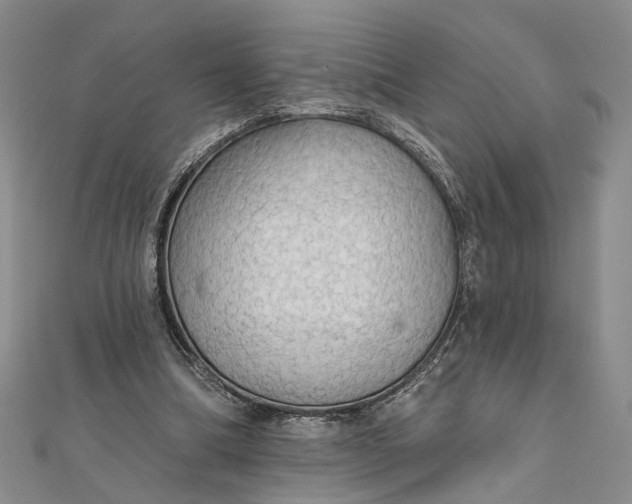 X0000111910298200908101206