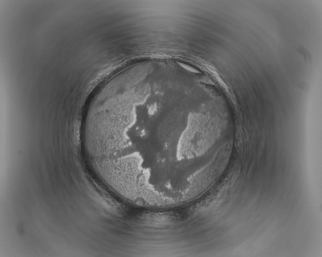 X0000111910299200908101206