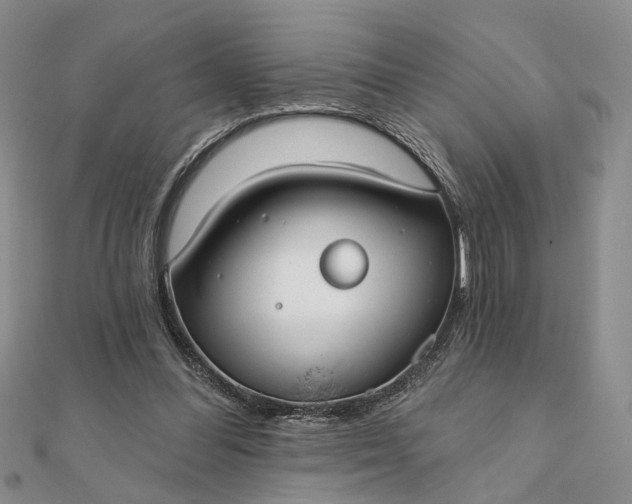 X0000111910300200908101206