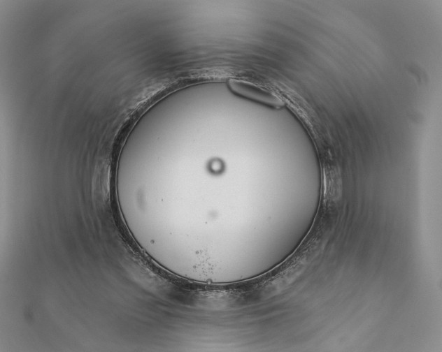 X0000111910301200908101206