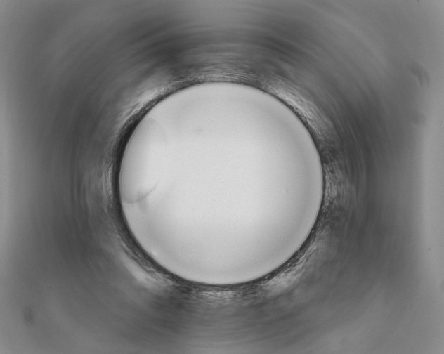 X0000111910302200908101206