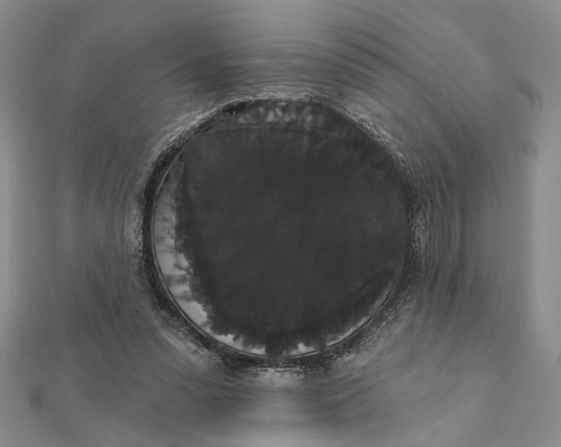 X0000111910303200908101206