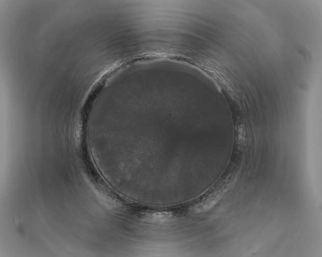 X0000111910304200908101206