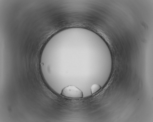 X0000111910305200908101206