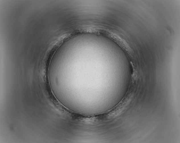 X0000111910306200908101206