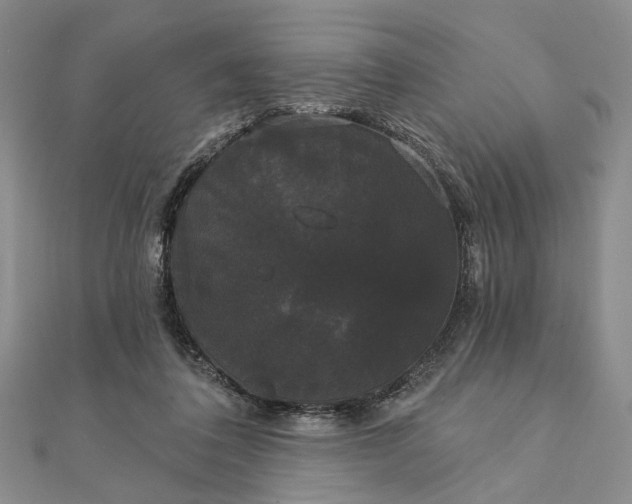 X0000111910308200908101206