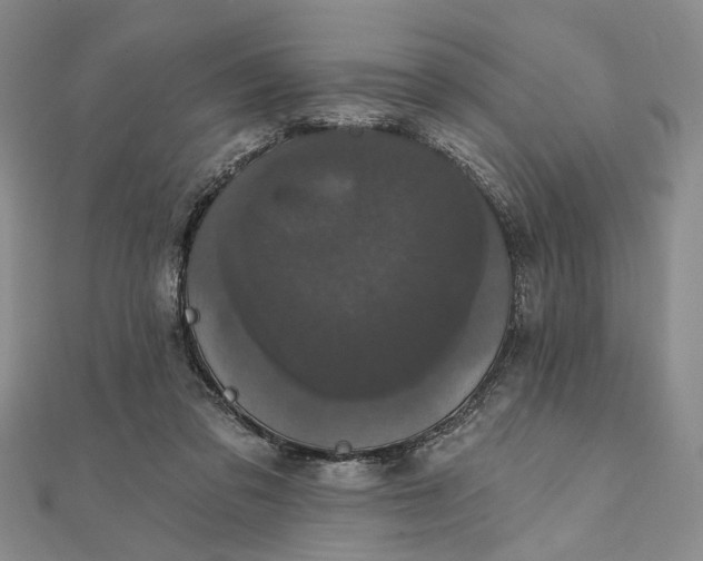 X0000111910309200908101206