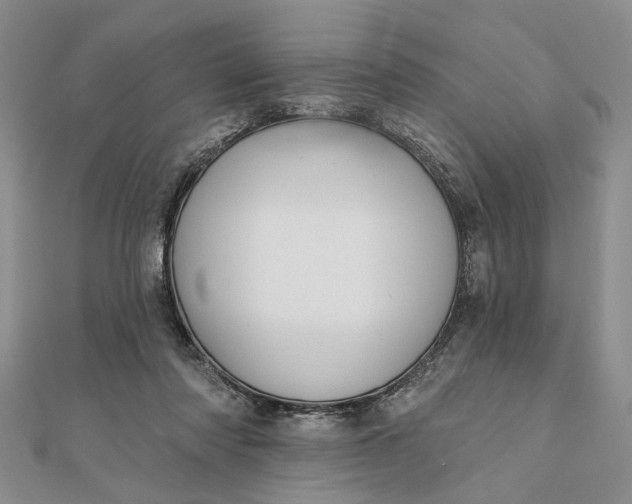 X0000111910310200908101206