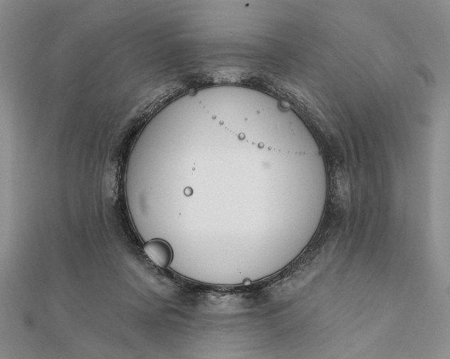 X0000111910311200908101206