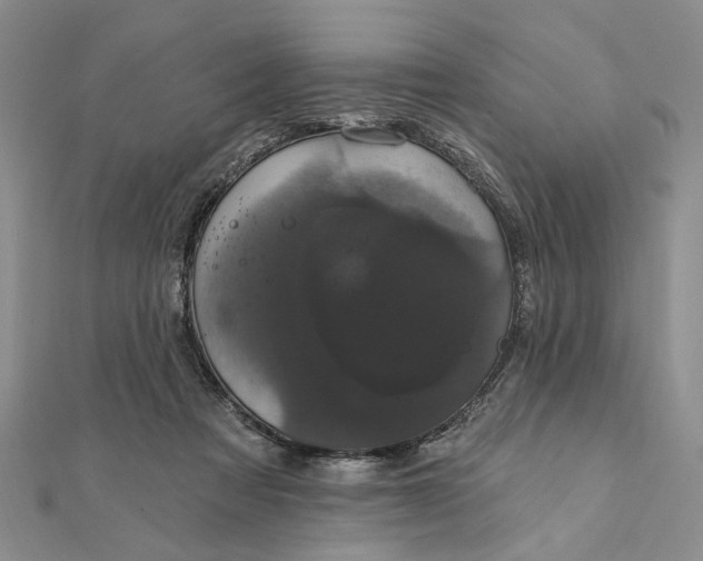 X0000111910313200908101206