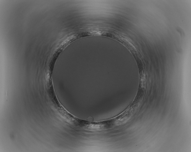 X0000111910314200908101206