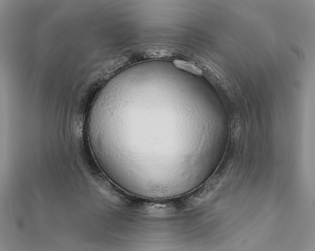 X0000111910315200908101206