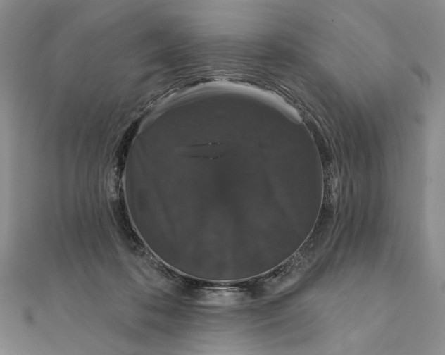 X0000111910316200908101206