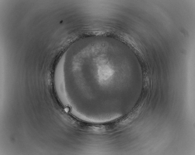 X0000111910317200908101206