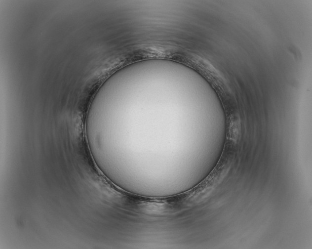 X0000111910318200908101206