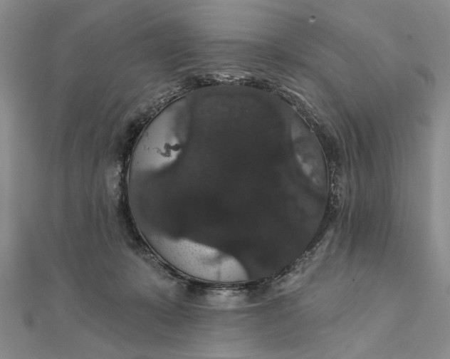 X0000111910319200908101206