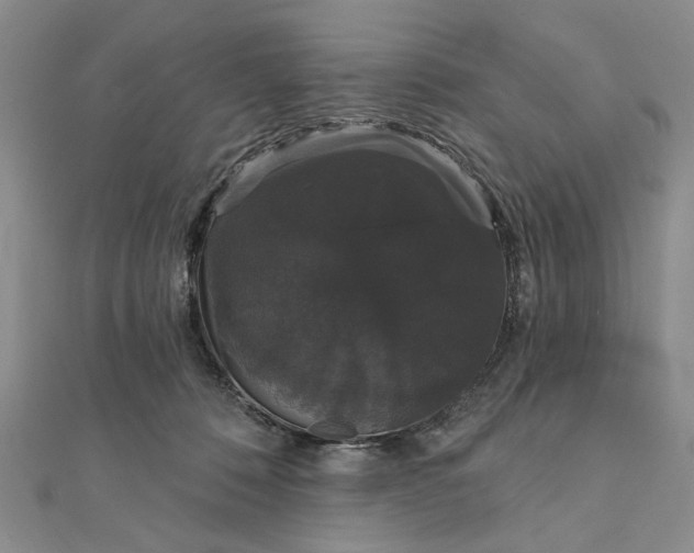 X0000111910320200908101206