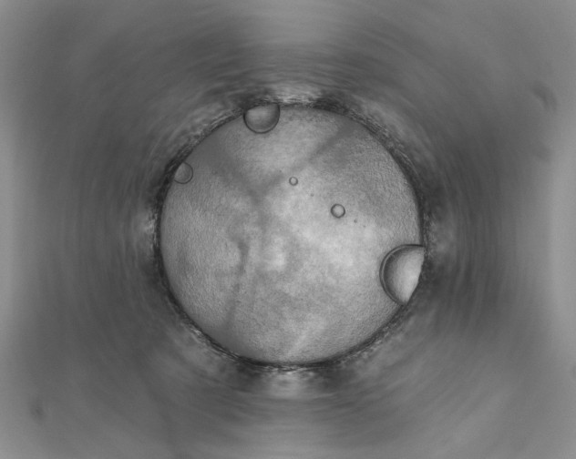 X0000111910321200908101206