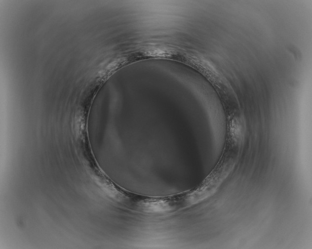 X0000111910322200908101206