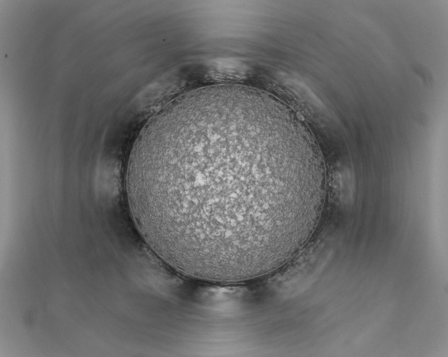 X0000111910323200908101206