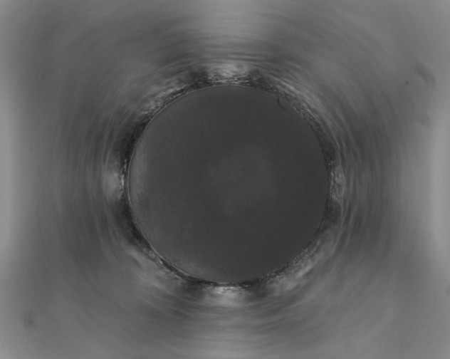 X0000111910324200908101206