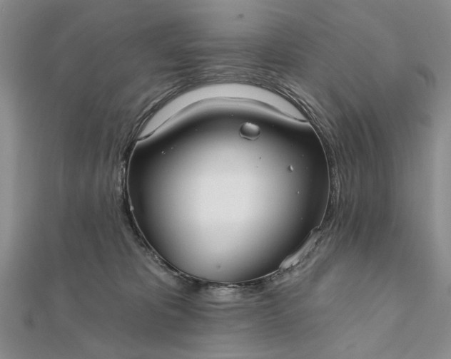 X0000111910325200908101206