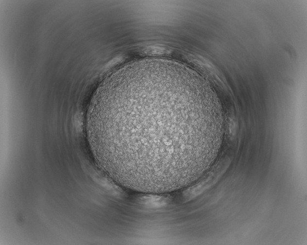 X0000111910326200908101206