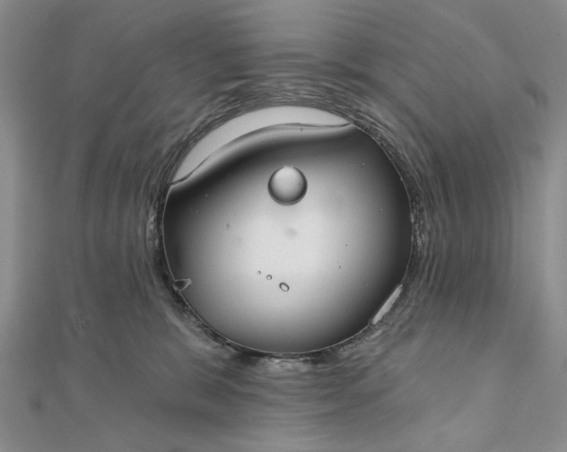 X0000111910327200908101206