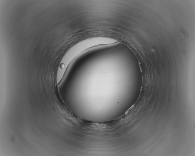 X0000111910328200908101206