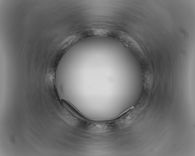 X0000111910329200908101206