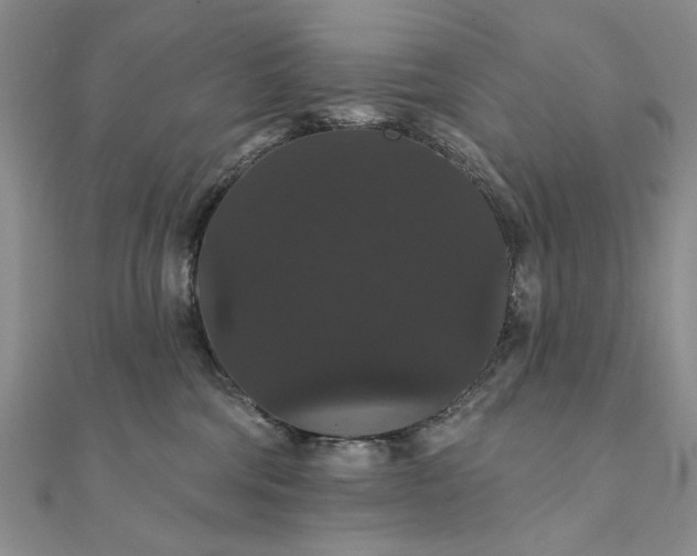 X0000111910330200908101206